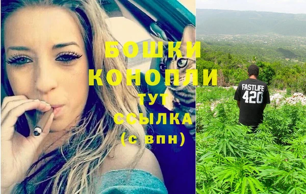 герыч Арсеньев