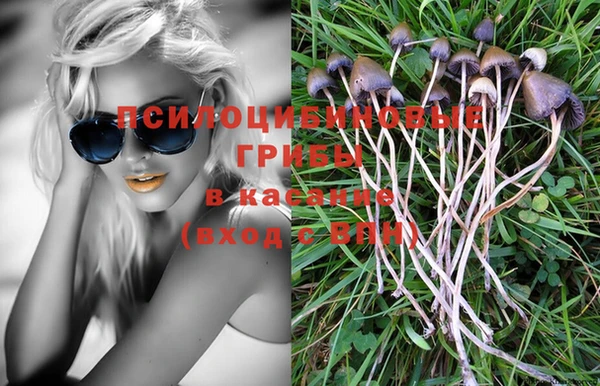 прущая мука Аркадак