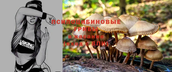 прущая мука Аркадак