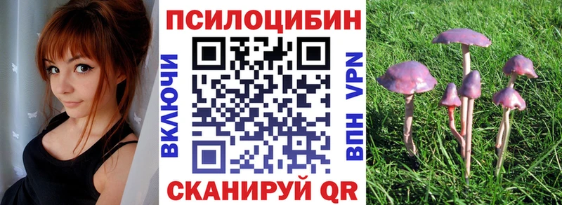 мориарти телеграм  Семилуки  Галлюциногенные грибы Psilocybine cubensis 